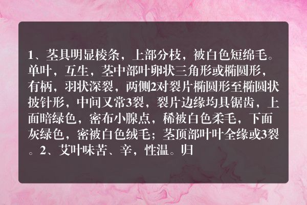 艾草长什么样子