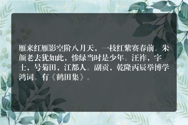 雁来红