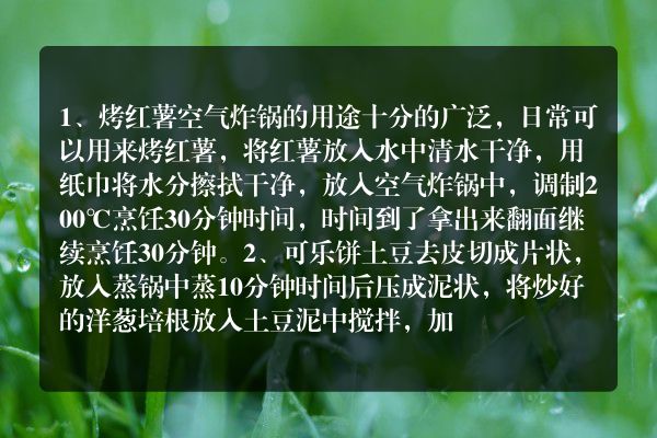 空气炸锅可以做哪些食物