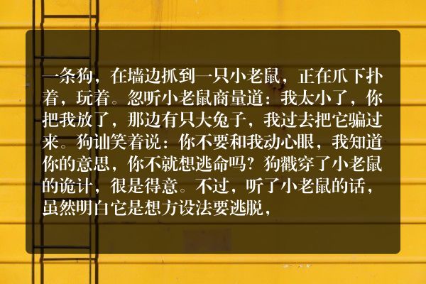 狗抓耗子